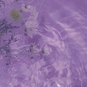 Meet your Posher, Ravyn